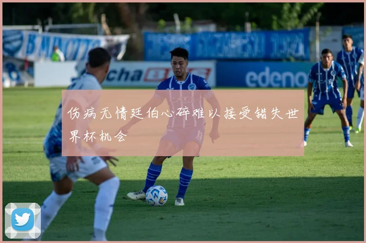 伤病无情廷伯心碎难以接受错失世界杯机会