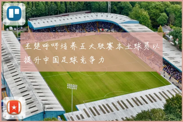 王楚呼吁培养五大联赛本土球员以提升中国足球竞争力